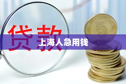 上海人急用钱