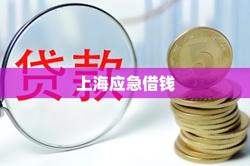 上海应急借钱