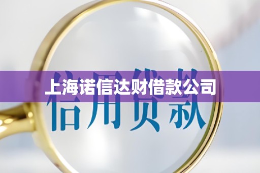 上海诺信达财借款公司