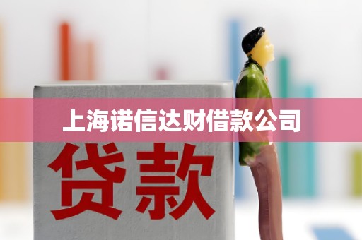 上海诺信达财借款公司