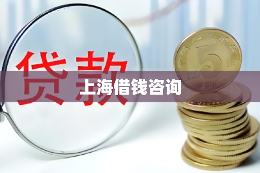 上海借钱咨询
