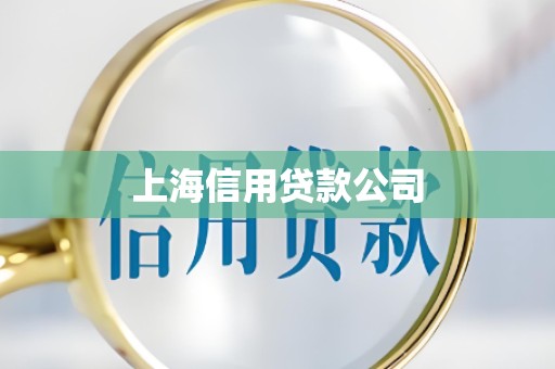 上海信用贷款公司