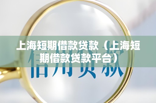 上海短期借款贷款（上海短期借款贷款平台）
