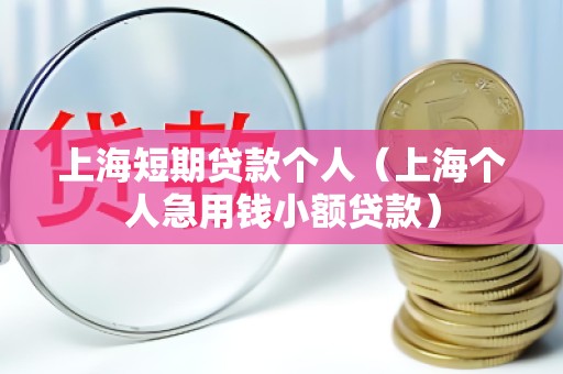 上海短期贷款个人（上海个人急用钱小额贷款）