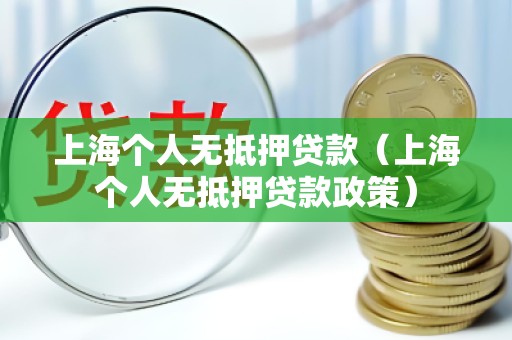 上海个人无抵押贷款(上海个人无抵押贷款政策)