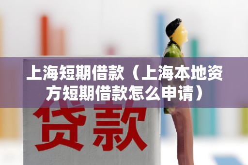 上海短期借款(上海本地资方短期借款怎么申请)